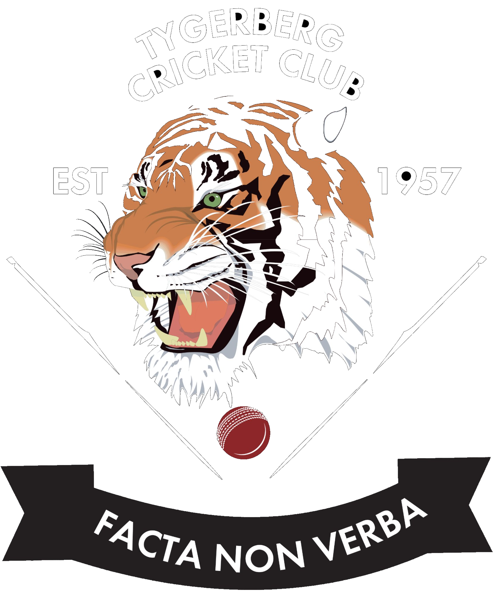 Tygerberg Cricket Club